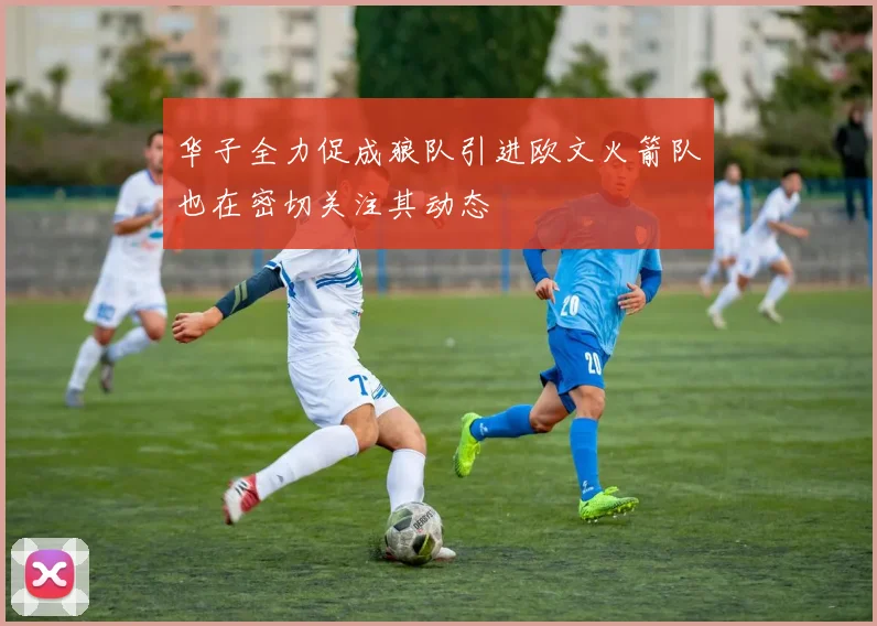 华子全力促成狼队引进欧文火箭队也在密切关注其动态